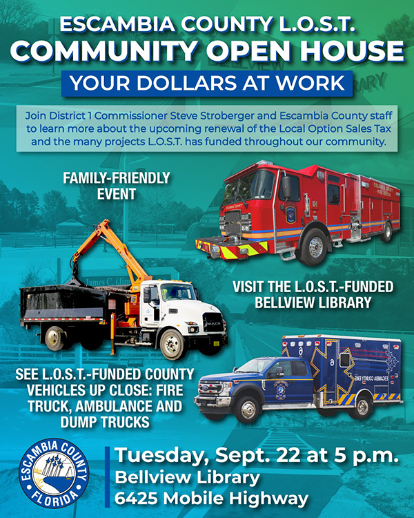 District 1 L.O.S.T. flyer District 1 L.O.S.T. flyer